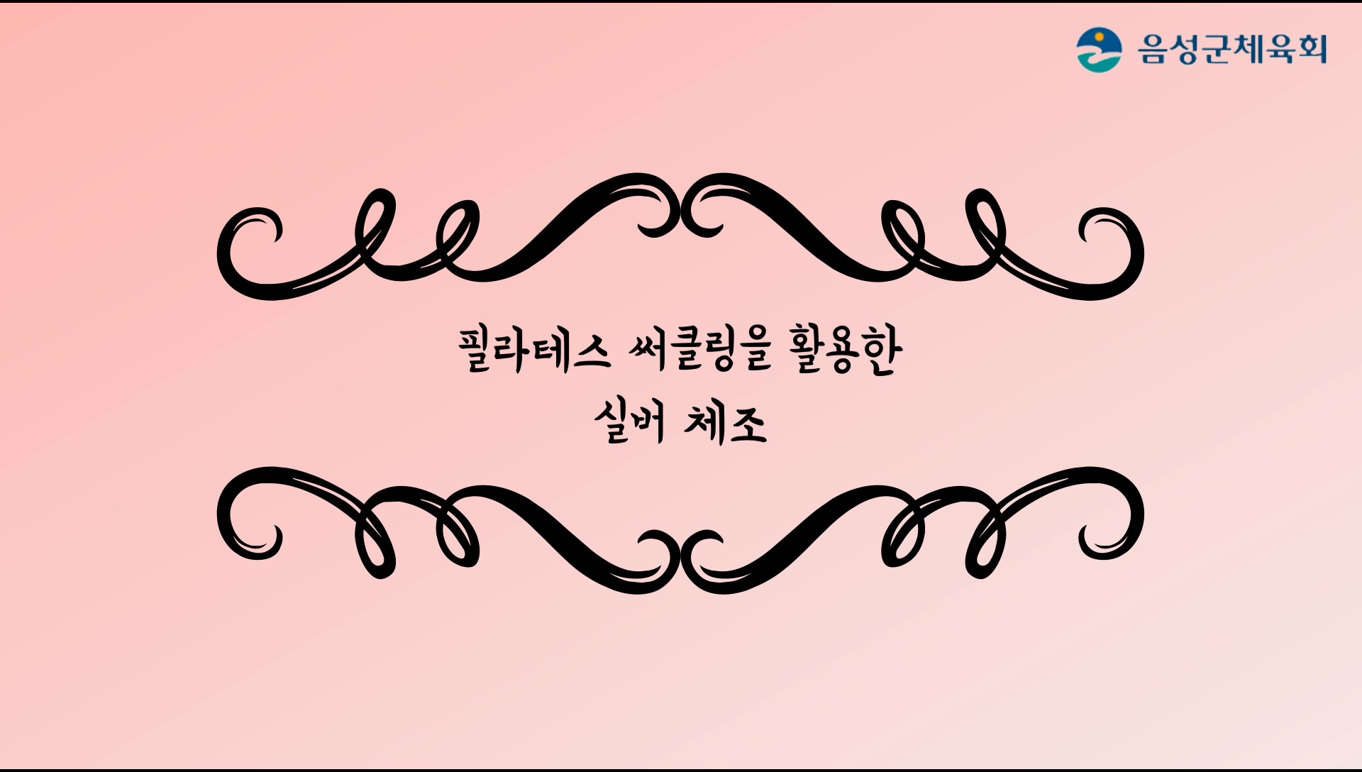 필라테스 써클링을 활용한 실버체조